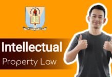 Intellectual Property law