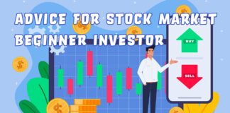 Advice for Stock Market Beginner Investor