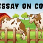 Essay on Cow